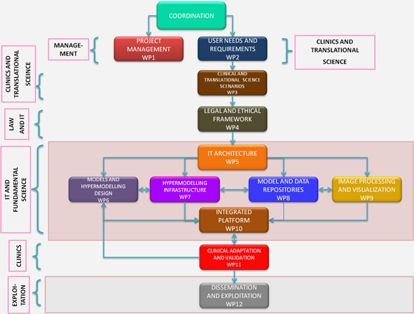 CHIC Structure Infographic